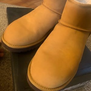 Brand new men UGGs